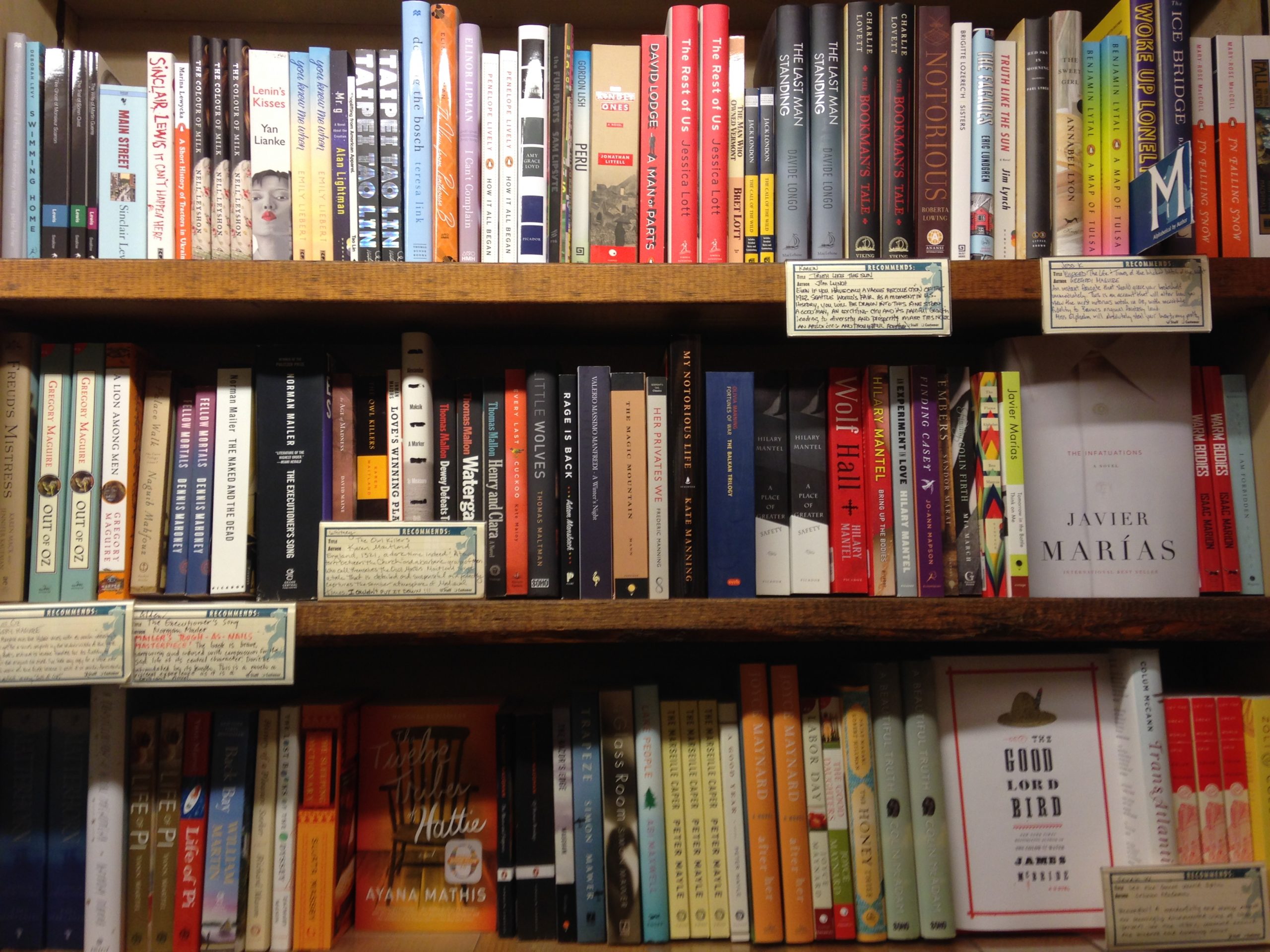 여러 책과 추천 안내가 놓인 서점 책장